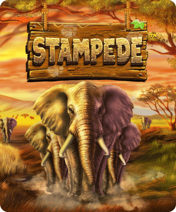 Stampede